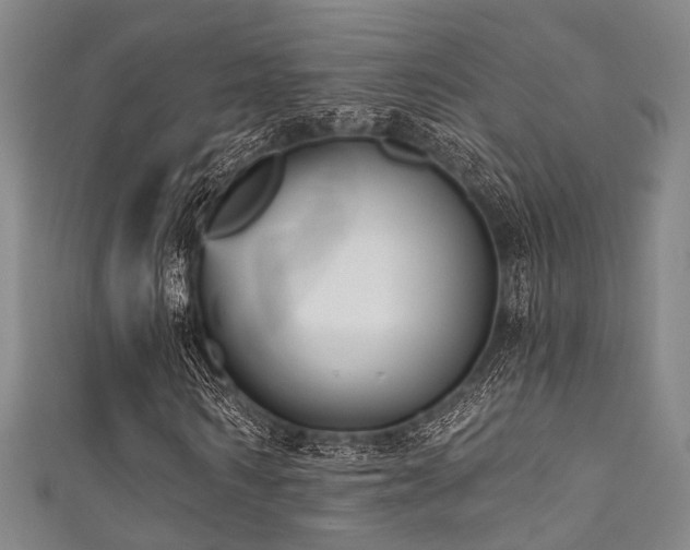 X0000111590962200907161450