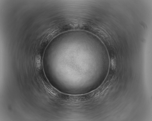 X0000111590963200907161450