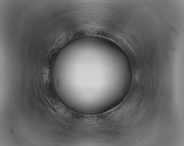 X0000111590964200907161450