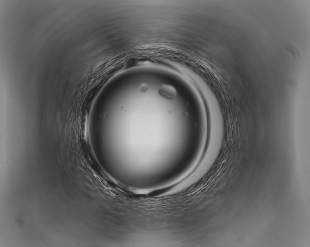 X0000111590965200907161450