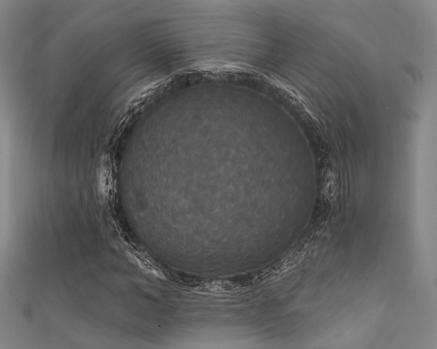 X0000111590966200907161450