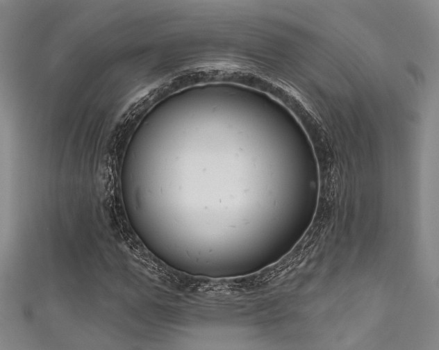 X0000111590967200907161450