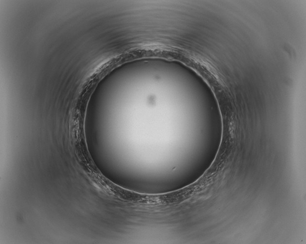 X0000111590968200907161450