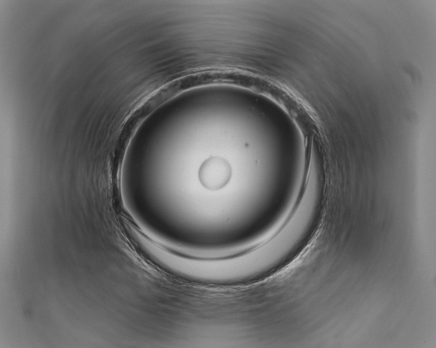 X0000111590969200907161450