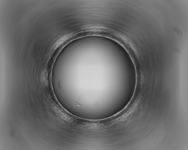 X0000111590970200907161450