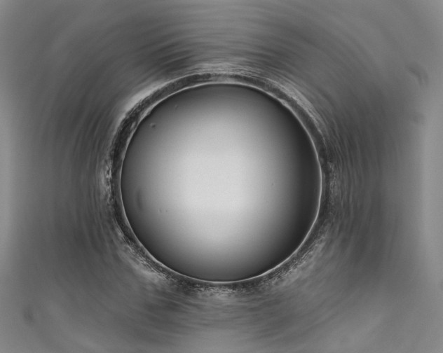 X0000111590971200907161450