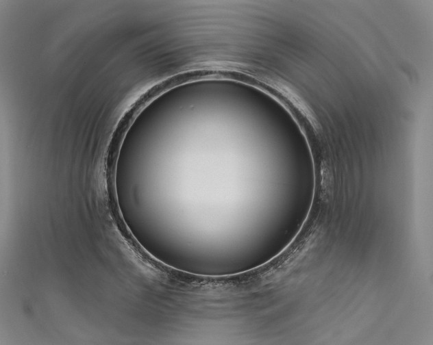 X0000111590972200907161450