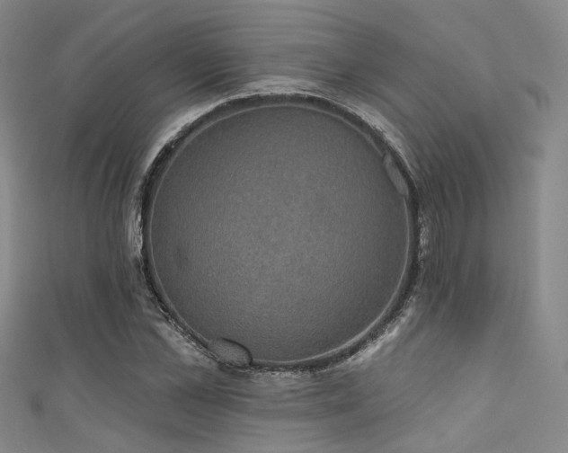 X0000111590973200907161450