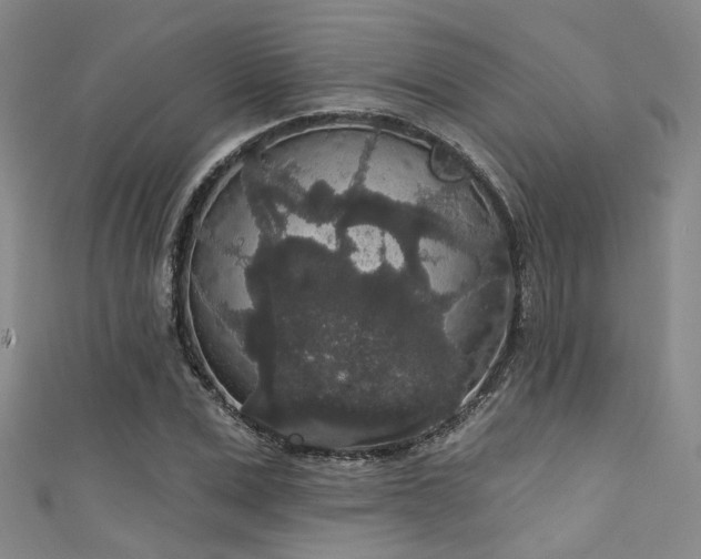 X0000111590975200907161450