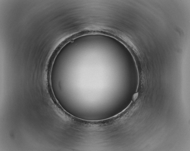 X0000111590976200907161450