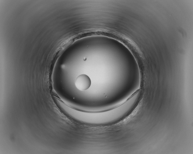 X0000111590977200907161450