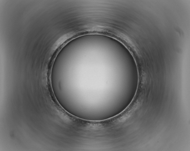 X0000111590978200907161450