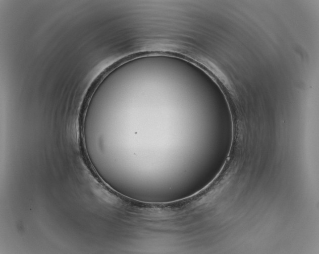 X0000111590980200907161450