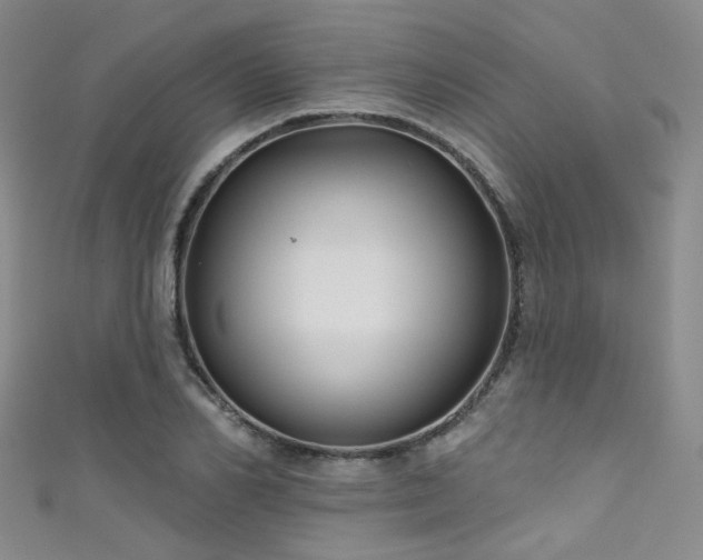 X0000111590982200907161450