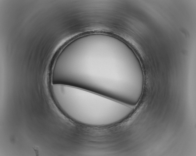 X0000111590983200907161450