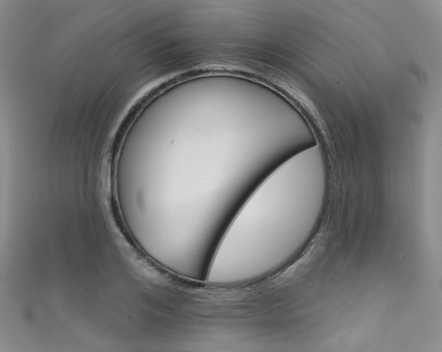 X0000111590984200907161450