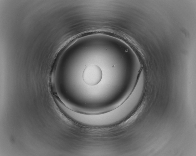 X0000111590985200907161450