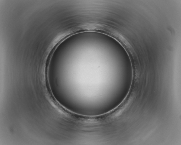 X0000111590986200907161450