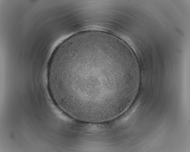 X0000111590987200907161450