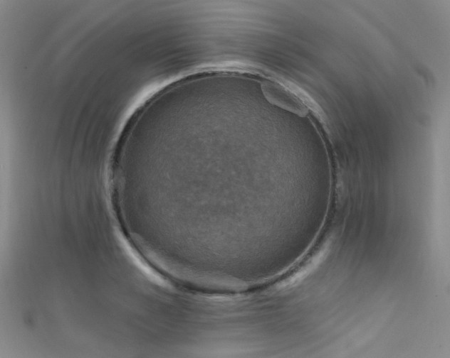 X0000111590989200907161450