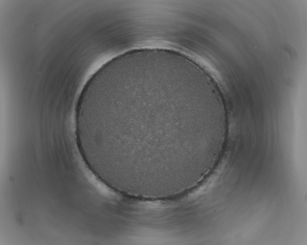 X0000111590990200907161450