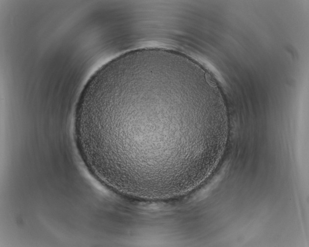 X0000111590991200907161450