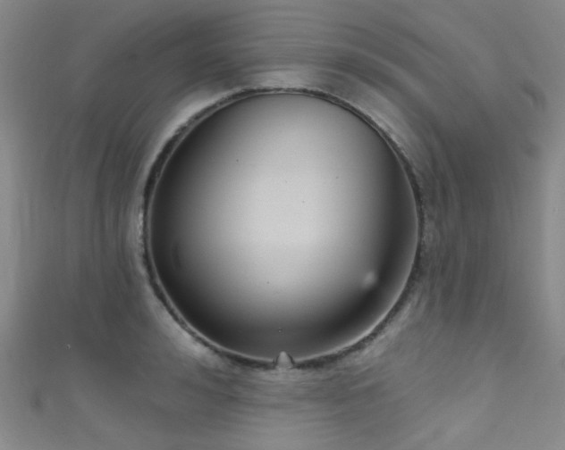 X0000111590992200907161450