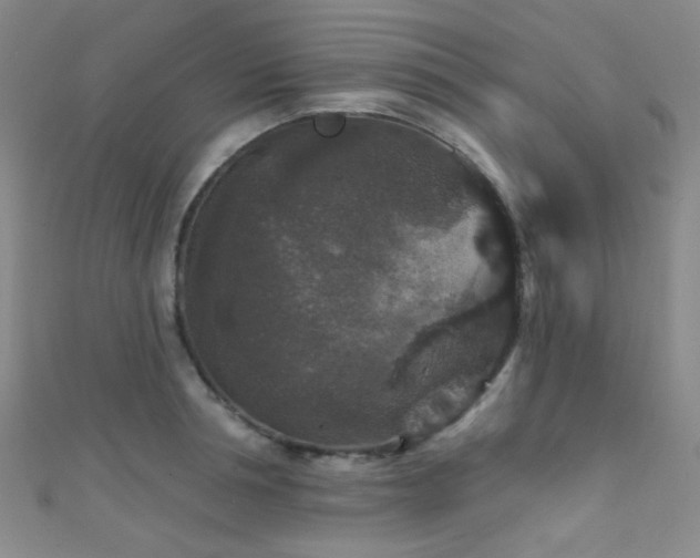 X0000111590994200907161450