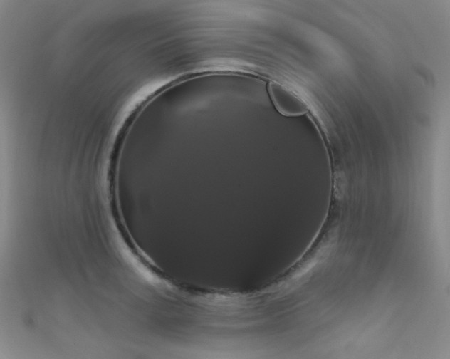 X0000111590995200907161450