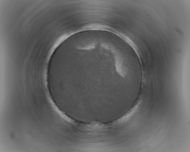 X0000111590997200907161450