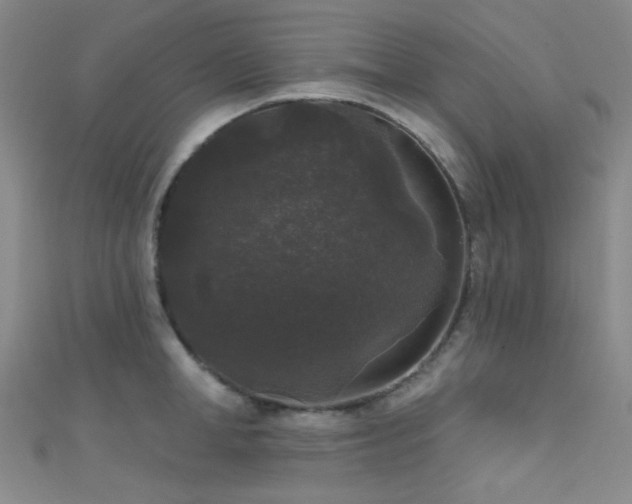 X0000111590998200907161450