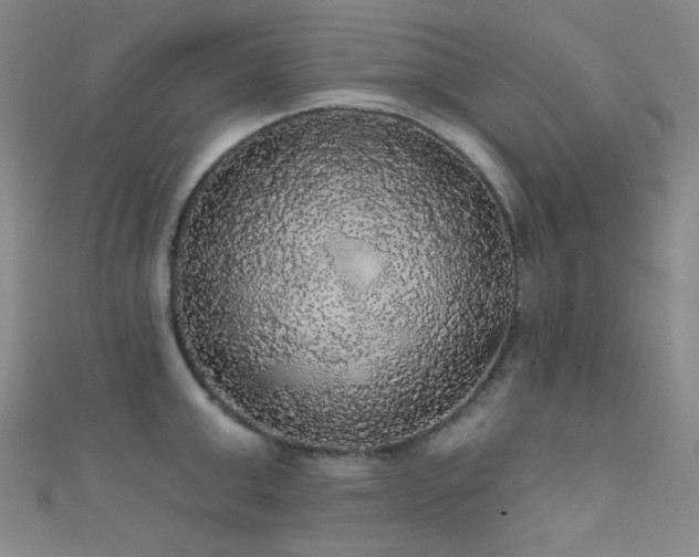 X0000111590999200907161450