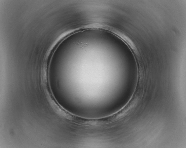 X0000111591000200907161450