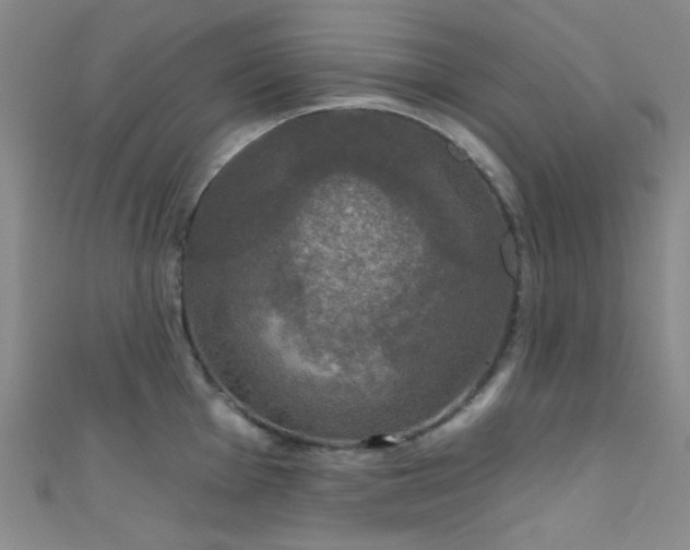 X0000111591001200907161450