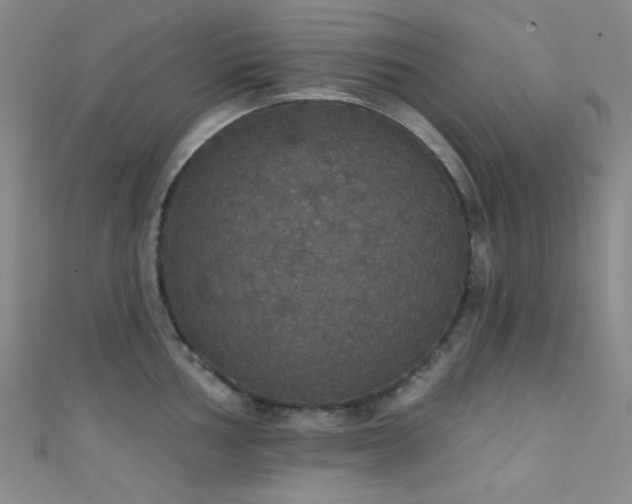 X0000111591002200907161450