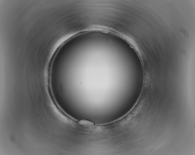 X0000111591003200907161450