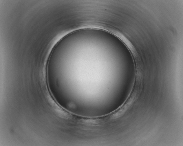 X0000111591004200907161450