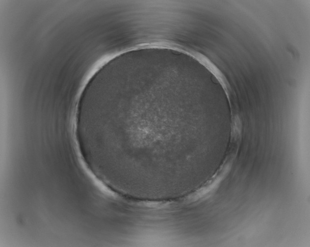 X0000111591005200907161450