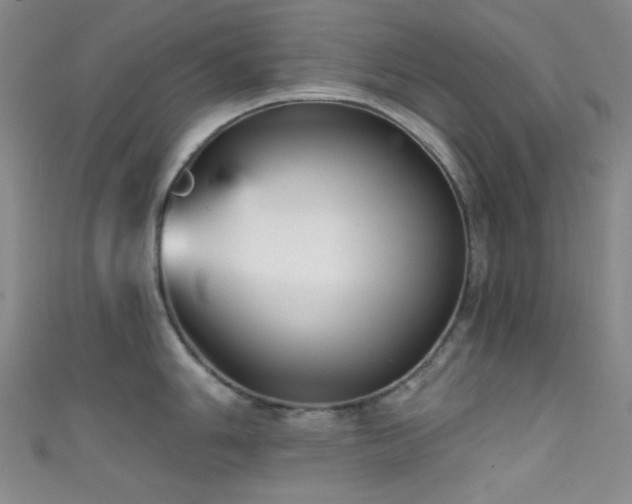 X0000111591006200907161450