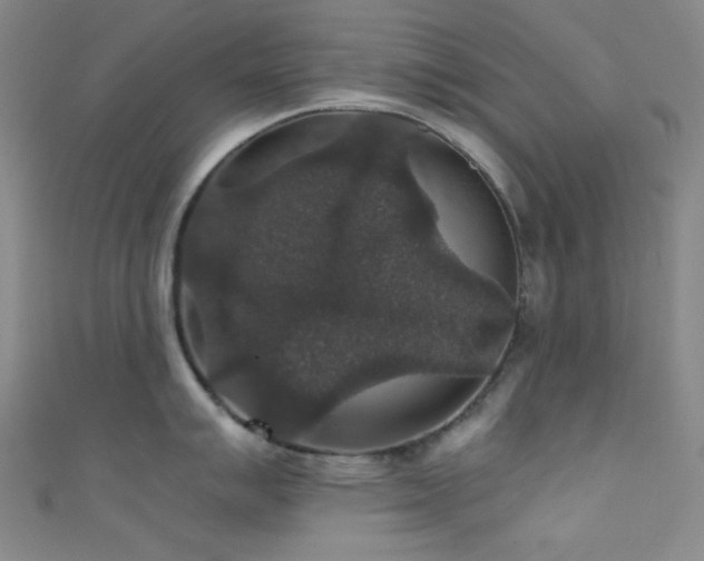 X0000111591007200907161450