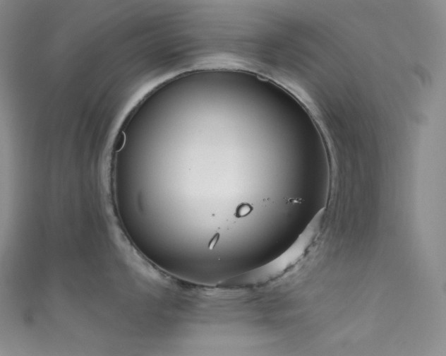 X0000111591008200907161450