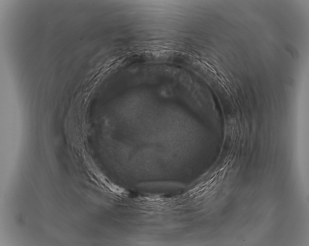 X0000111591009200907161449