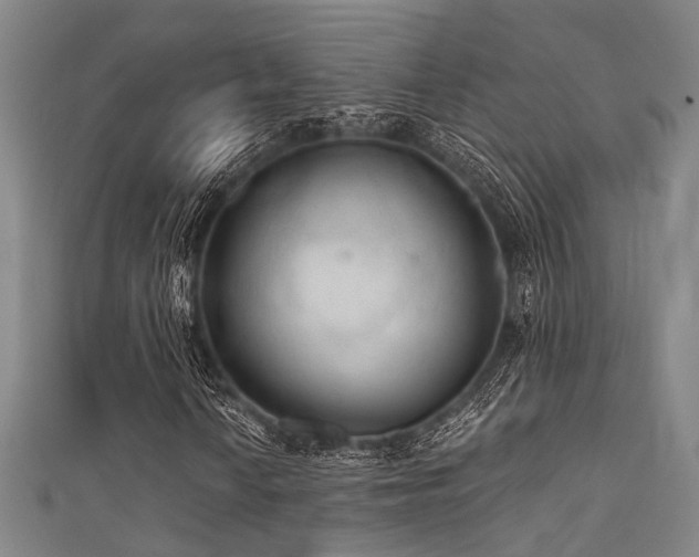 X0000111591010200907161449