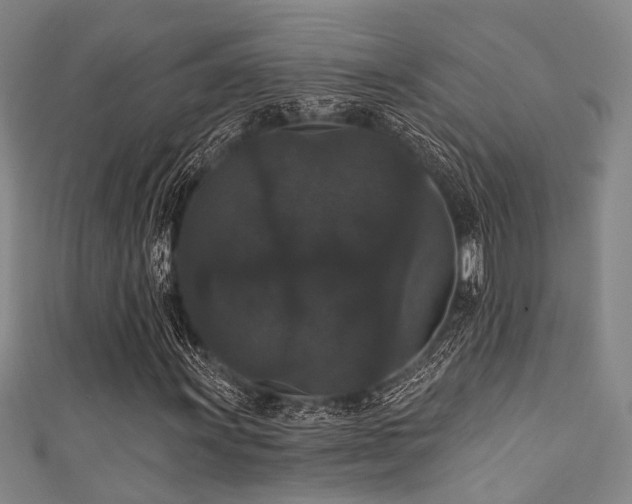 X0000111591011200907161449