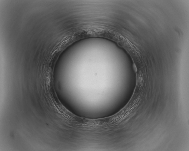 X0000111591012200907161449