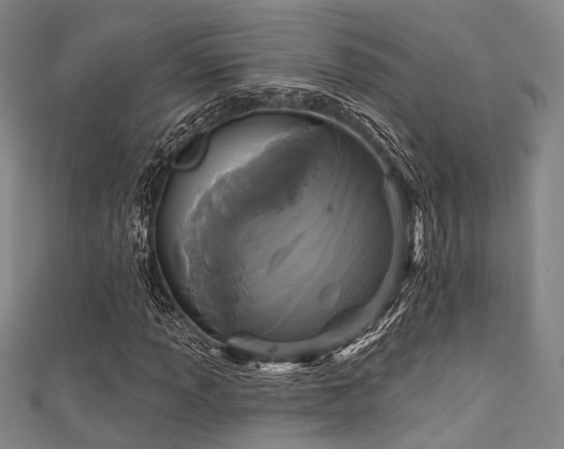 X0000111591013200907161449