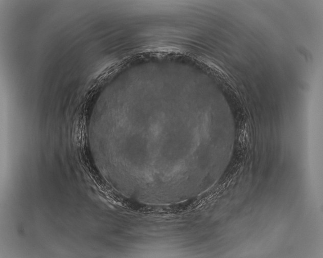 X0000111591014200907161449