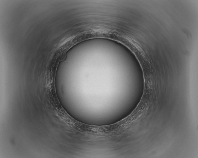 X0000111591015200907161449