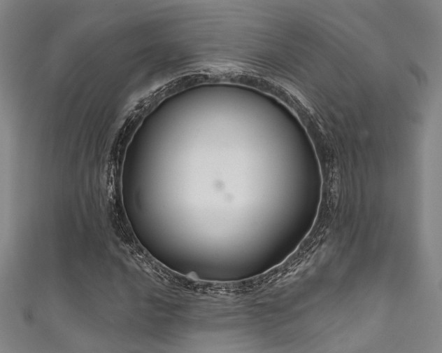 X0000111591016200907161449