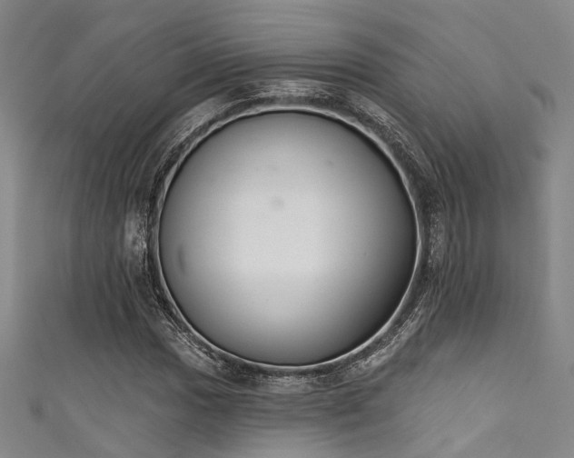 X0000111591017200907161449